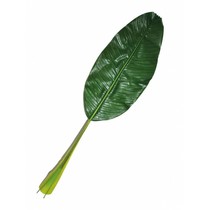 Bananenblad jungle 90cm