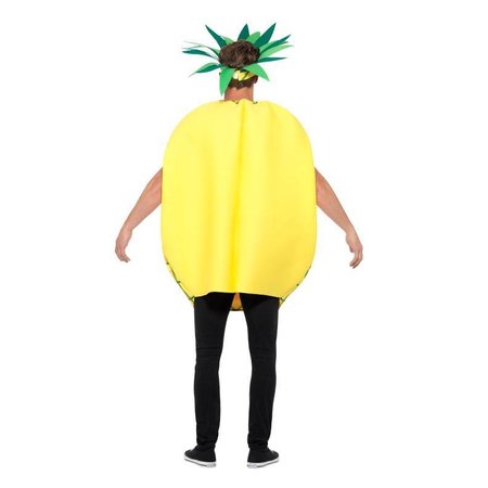 Ananas kostuum Unisex