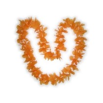 Hawaii slinger oranje populair