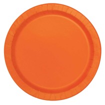 Bordjes Oranje 20 Stuks - 18 cm