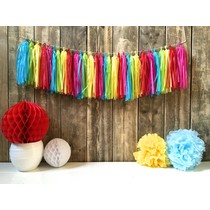 Tassel Slinger Multicolor - 5 Meter