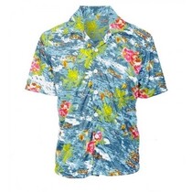 Hawaii shirt Lopine