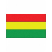 Vlag Carnaval 150x90cm rood/geel/groen