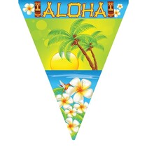 Vlaggenlijn Aloha Hawaii