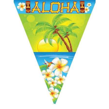 Vlaggenlijn Aloha Hawaii