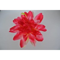 Haarbloem Dahlia Roze