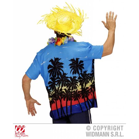 Hawaiishirt Palm Beach