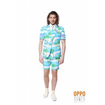 Summer Flamingo suit