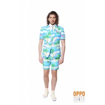 Summer Flamingo suit