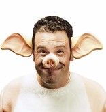 Varkensoren carnaval