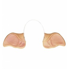 Varkensoren carnaval