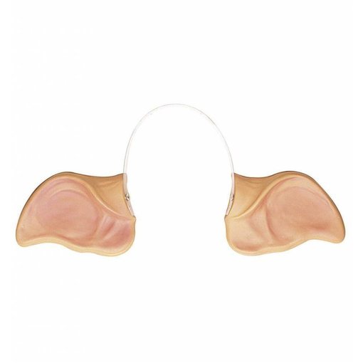 Varkensoren carnaval