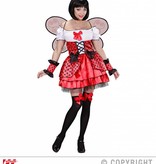 Lieveheersbeestje pakje 4-delig