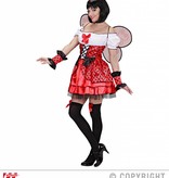 Lieveheersbeestje pakje 4-delig