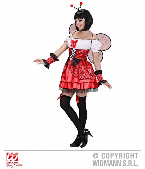 Lieveheersbeestje pakje 4-delig