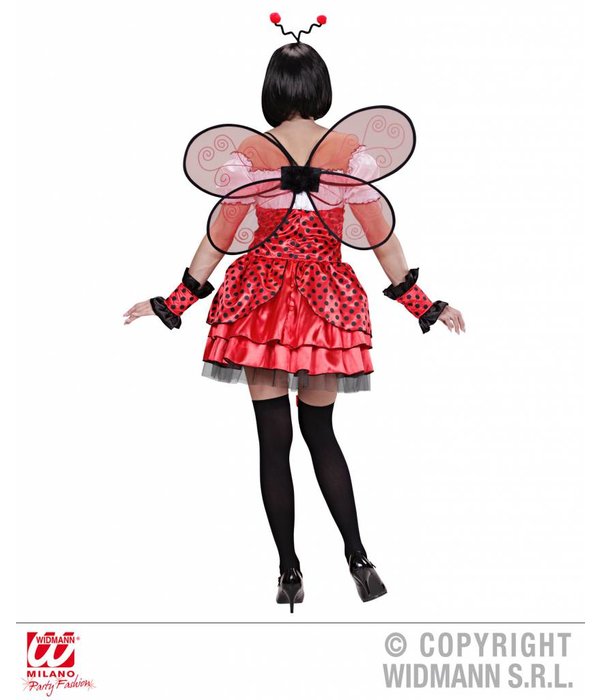 Lieveheersbeestje pakje 4-delig