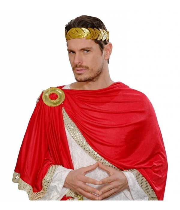 Laurierblad hoofdband goud