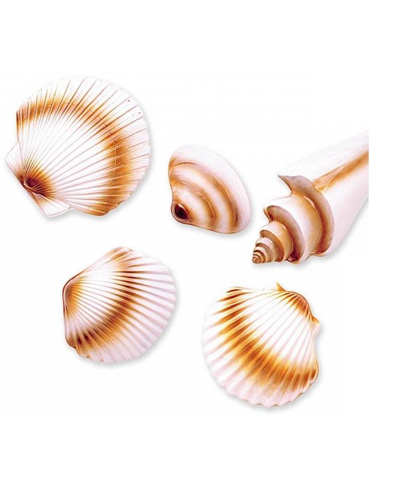 Schelpen decoratie hawaii pvc