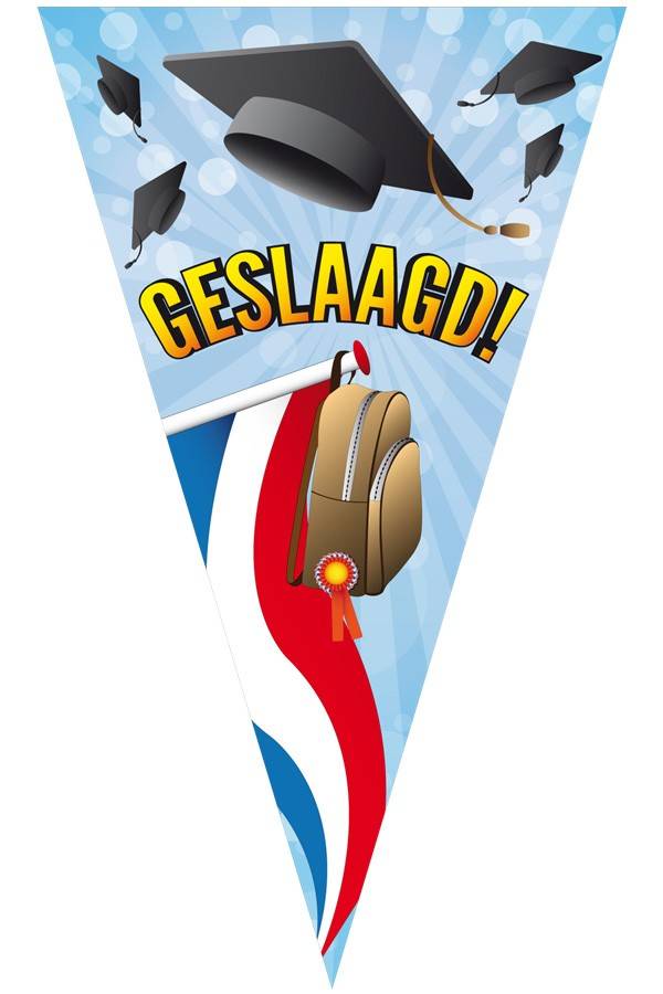 Mega puntvlag geslaagd afbeelding
