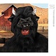 Masker Stier met pluche haar