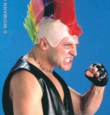 Kale kop punker meerkleurig