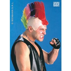 Kale kop punker meerkleurig