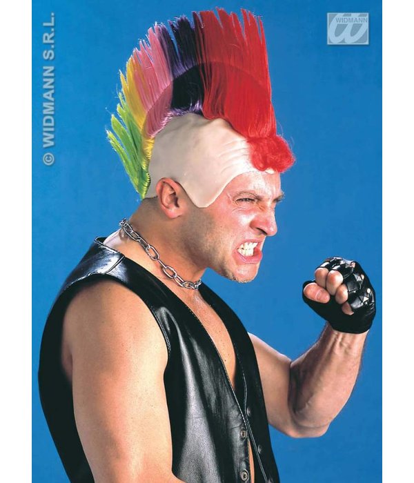 Kale kop punker meerkleurig