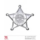 Zilveren Sheriff ster