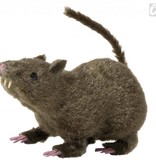 Harige rat 21cm
