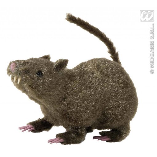 Harige rat 21cm