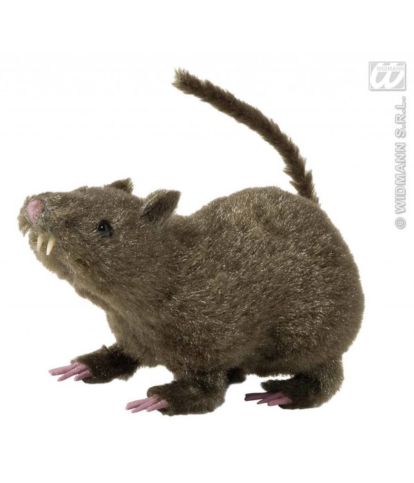 Harige rat 21cm