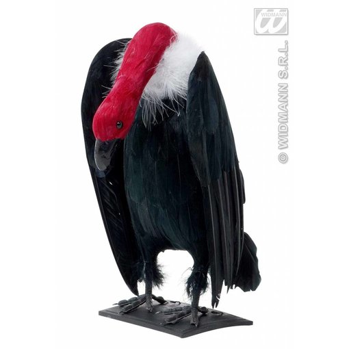 Aasgier met lange nek 26cm