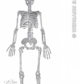 Skelet zilver glitter 92cm