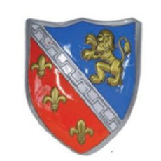 Middeleeuwse Ridder Schild