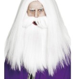 Pruik en Baard Magische Tovenaar