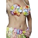 Hawaii BH multikleur