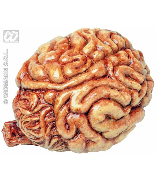 Decoratieve hersenen