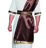 Zeus verkleedpak man