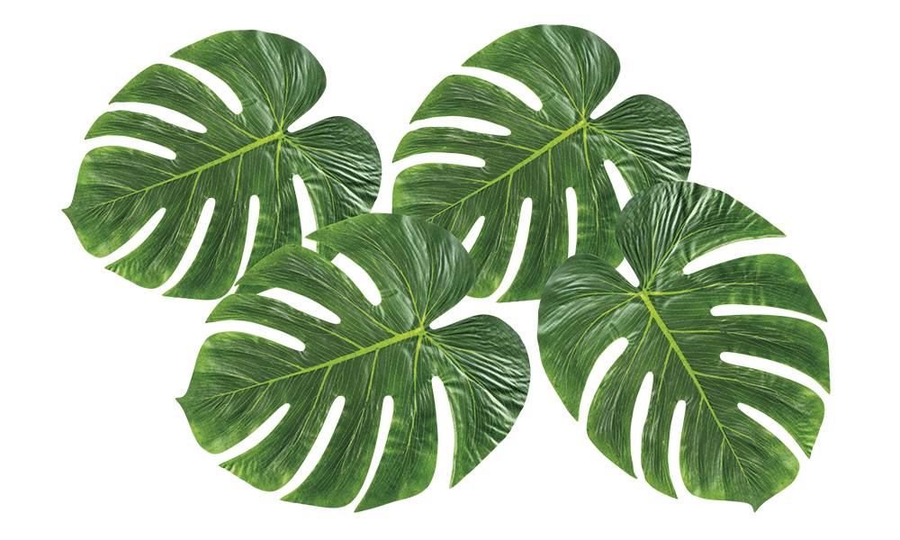 Set 4 Palmbladeren afbeelding
