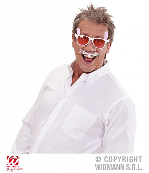 bril konijn met snorharen