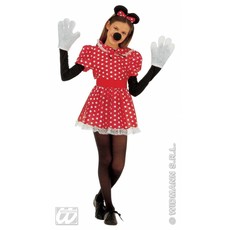 Minnie Mouse verkleedpak kind