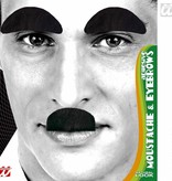 Snor en wenkbrauwen zwart professor