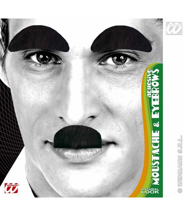 Snor en wenkbrauwen zwart professor