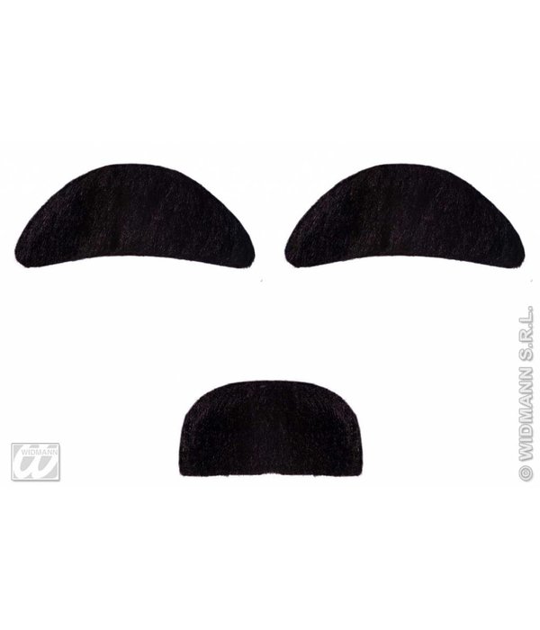 Snor en wenkbrauwen zwart professor