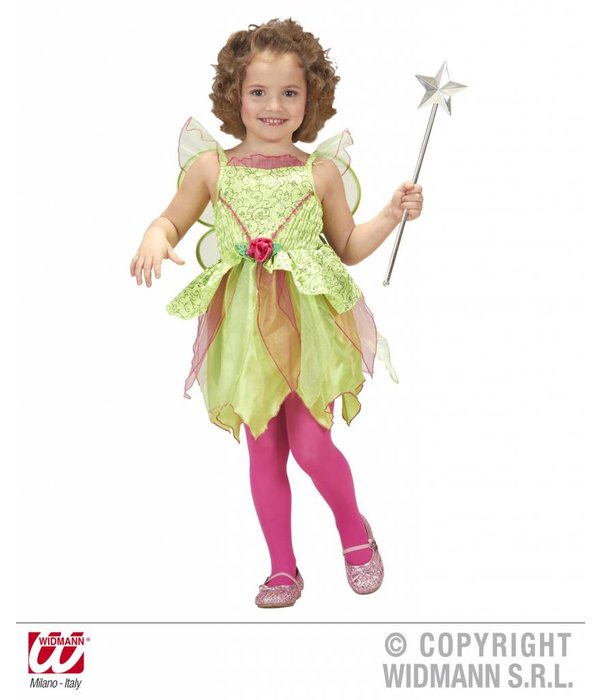 Magische Fee verkleedpakje