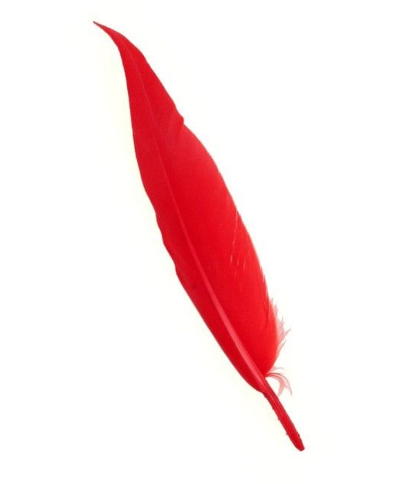 Rode veertjes 100 stuks