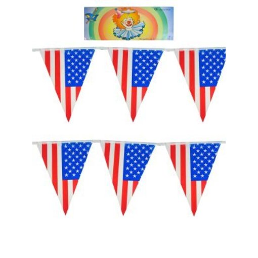 Vlaggenlijn Amerika USA 10m
