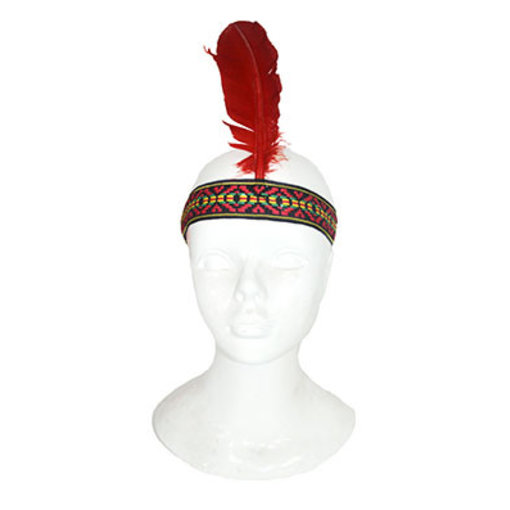 Indiaanse hoofdband met veer