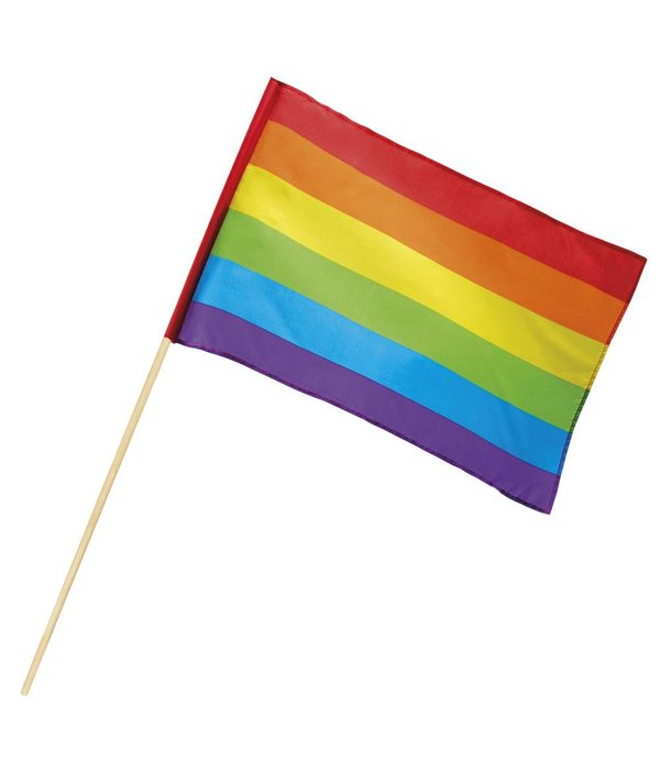 Zwaaivlag regenboog 76cm