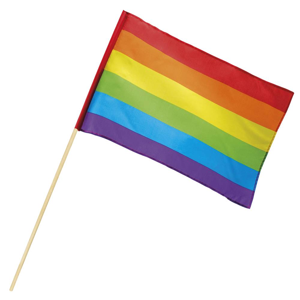 Zwaaivlag regenboog 76cm afbeelding
